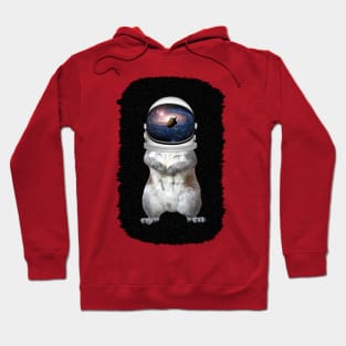 Space Nuts Hoodie